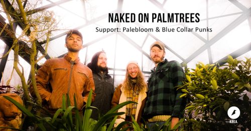 Naked on Palmtrees / Palebloom / Blue Collar Punks