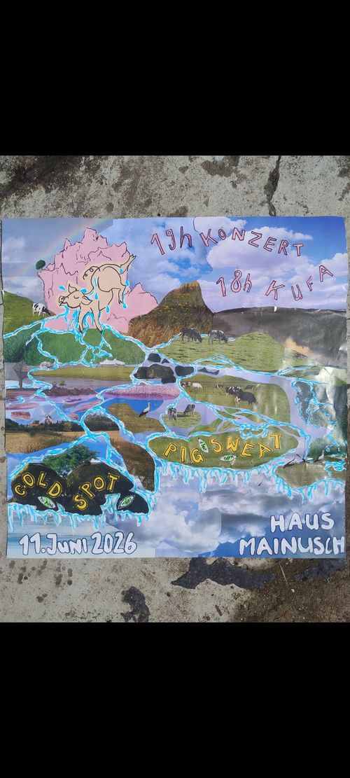 PIG SWEAT // COLD SPOT // Konzert und Küfa